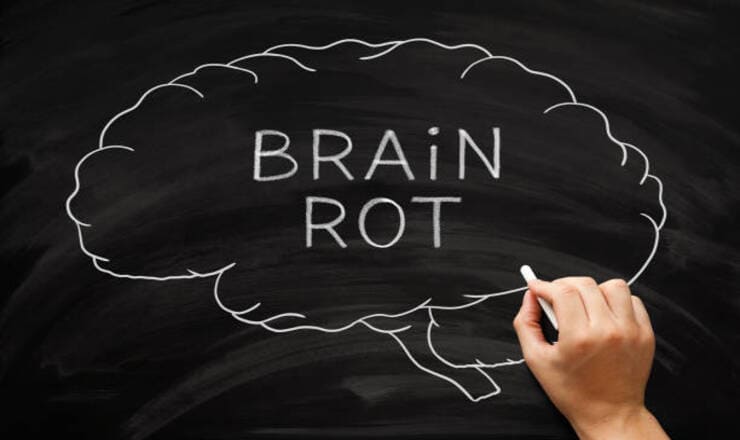 Punya gejala mudah lupa, susah fokus, dan sulit berkonsentrasi. Baca artikel ini untuk mengecek apakah otak kalian terkena brainrot.